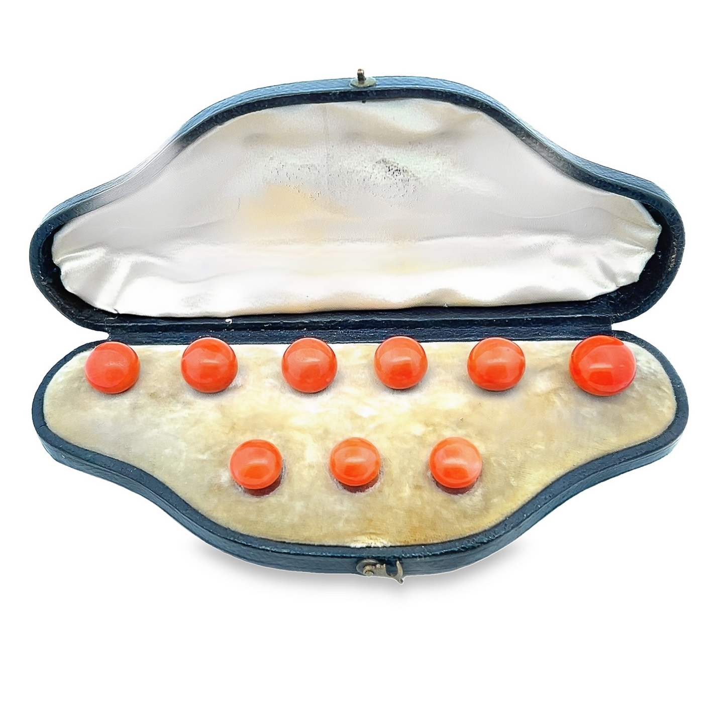 Antique Victorian Large Natural Coral 15ct Gold Shirt and Collar Studs with Fitted Case