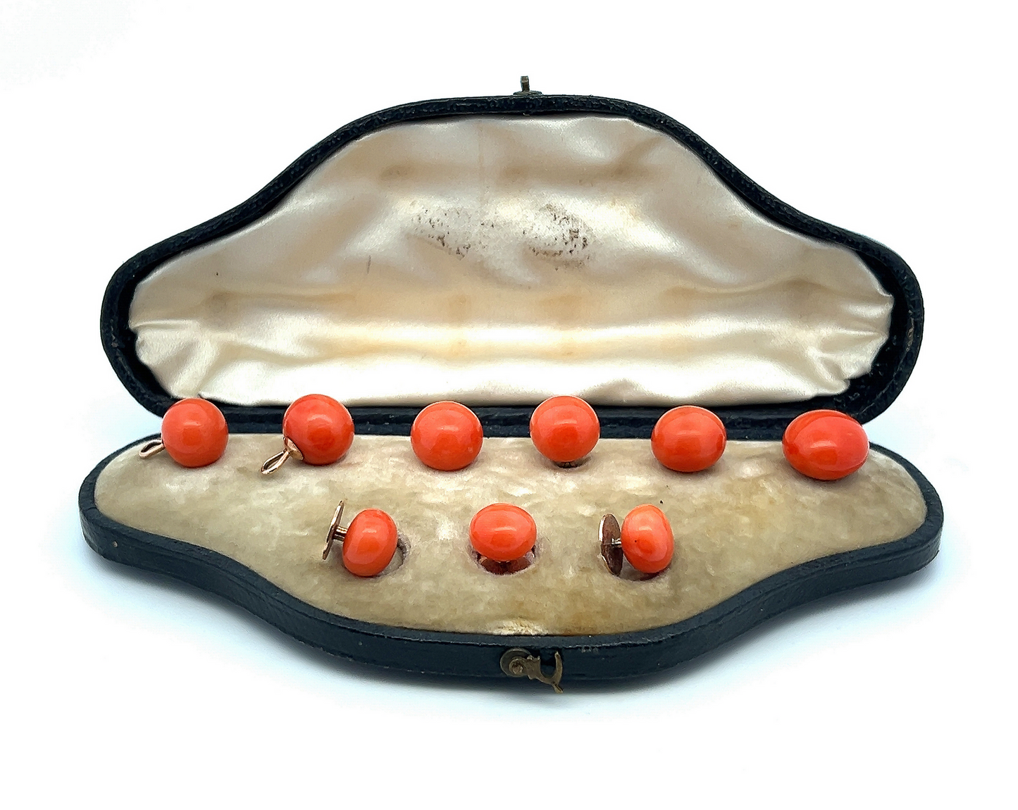 Antique Victorian Large Natural Coral 15ct Gold Shirt and Collar Studs with Fitted Case