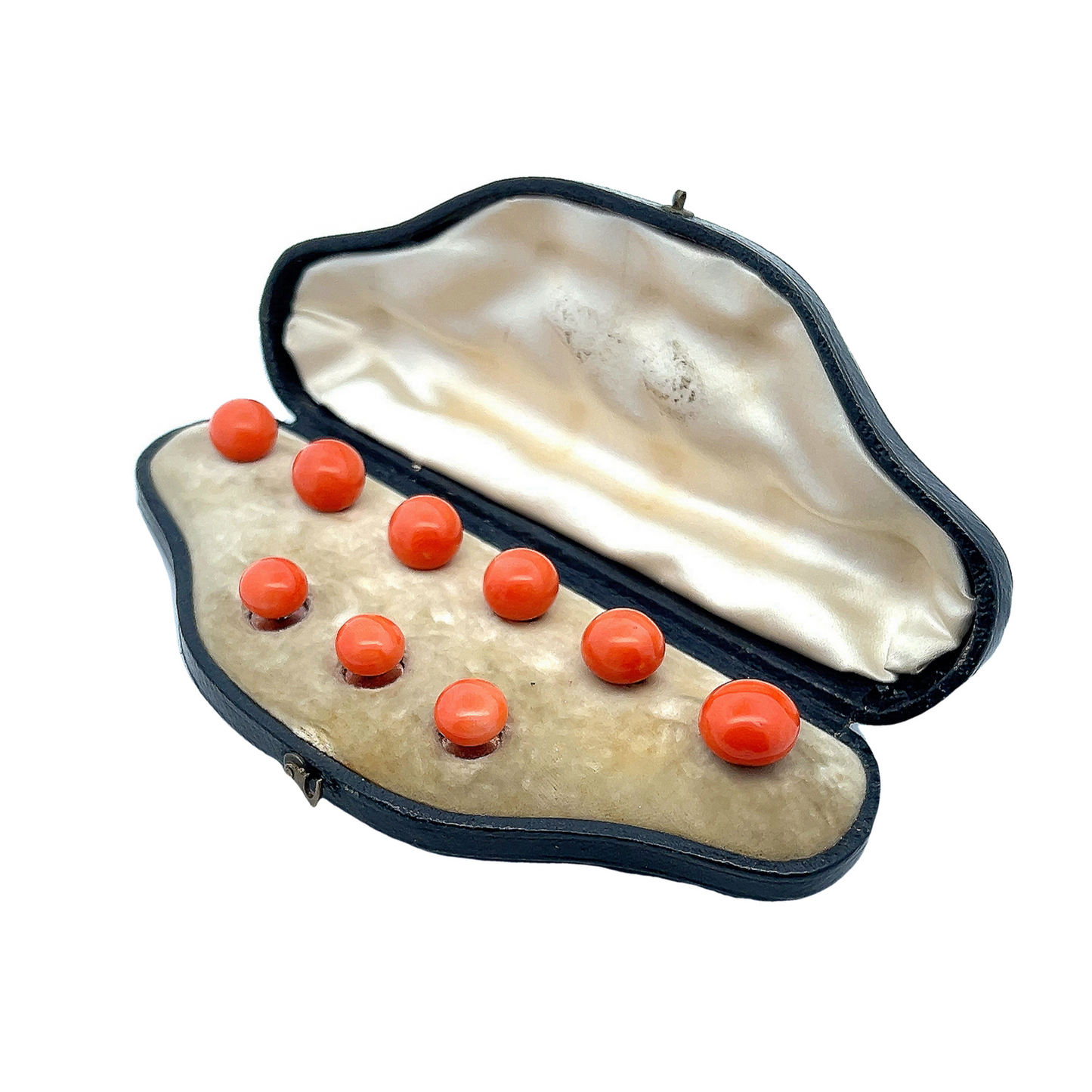 Antique Victorian Large Natural Coral 15ct Gold Shirt and Collar Studs with Fitted Case