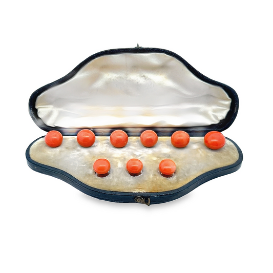 Antique Victorian Large Natural Coral 15ct Gold Shirt and Collar Studs with Fitted Case