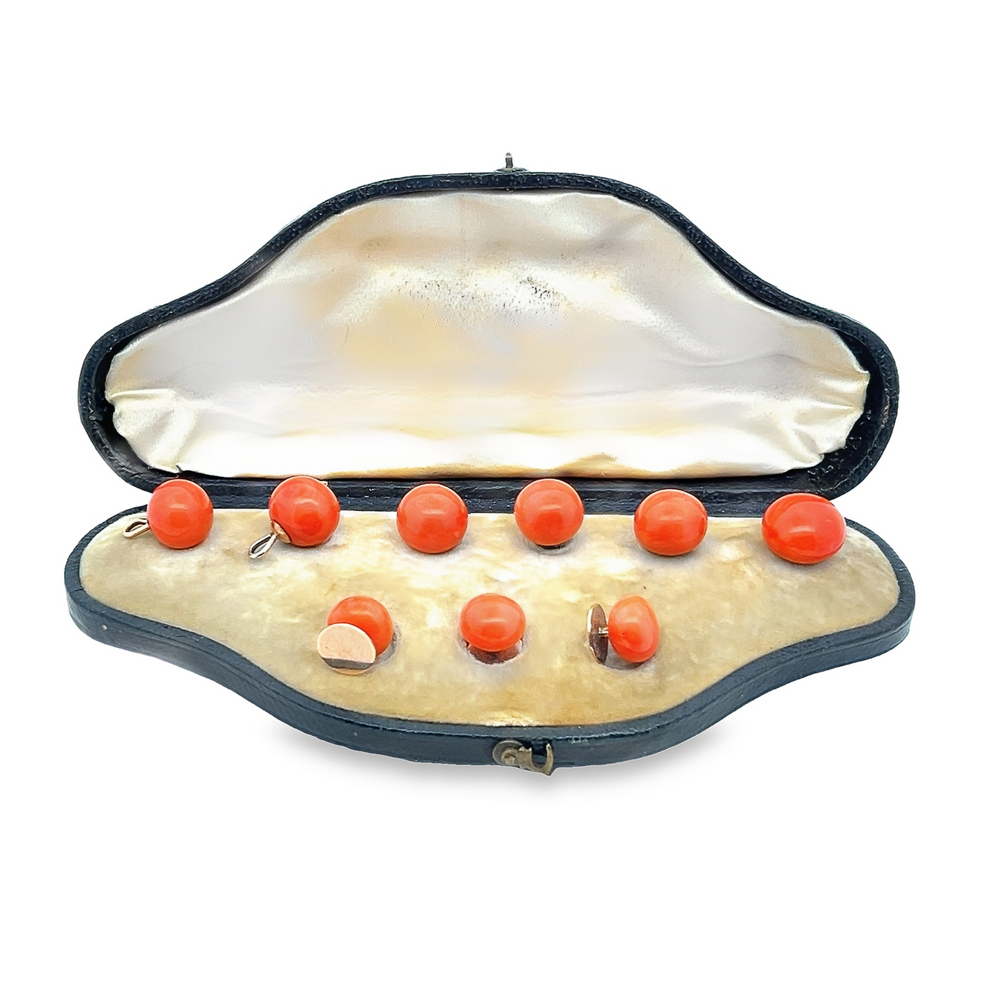 Antique Victorian Large Natural Coral 15ct Gold Shirt and Collar Studs with Fitted Case