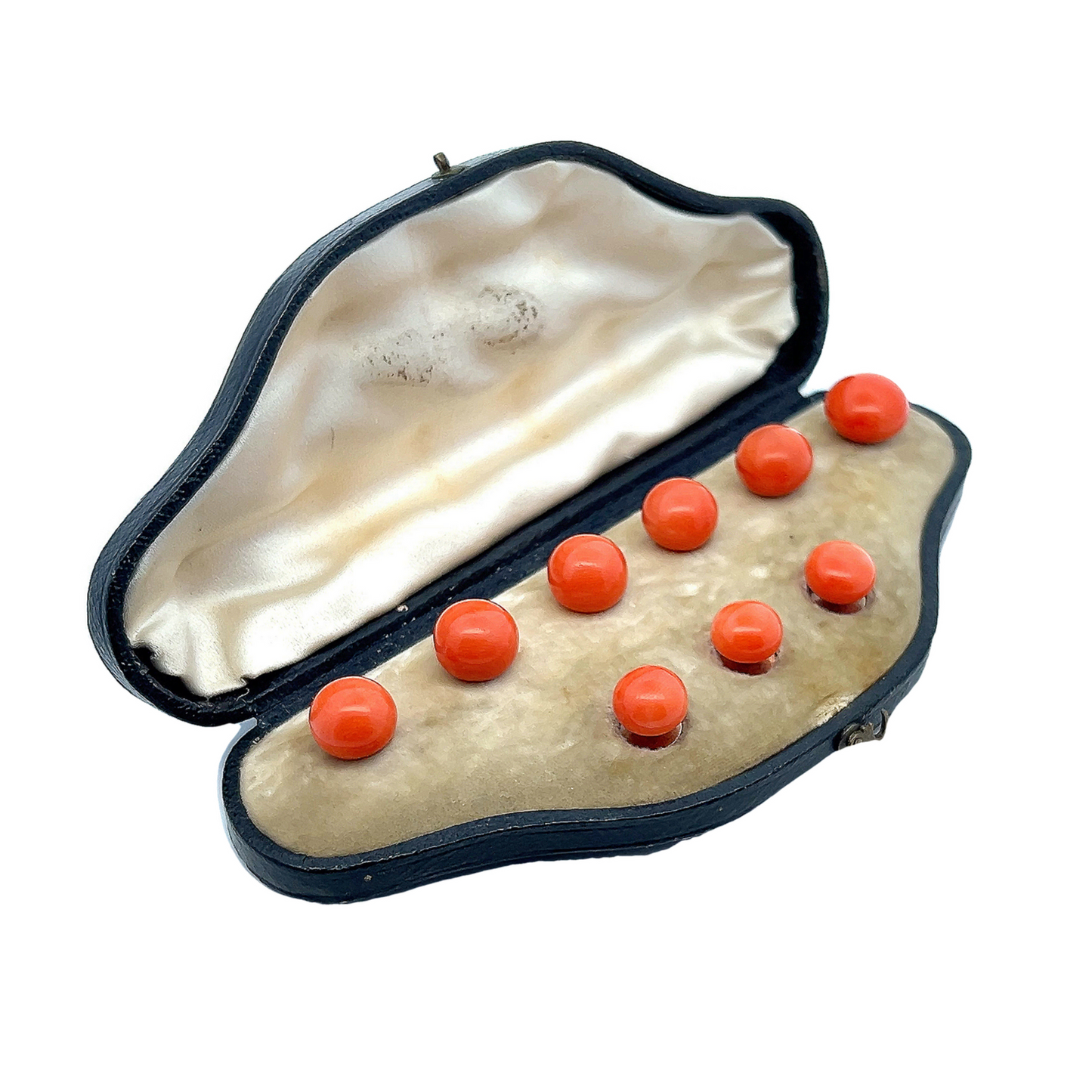 Antique Victorian Large Natural Coral 15ct Gold Shirt and Collar Studs with Fitted Case