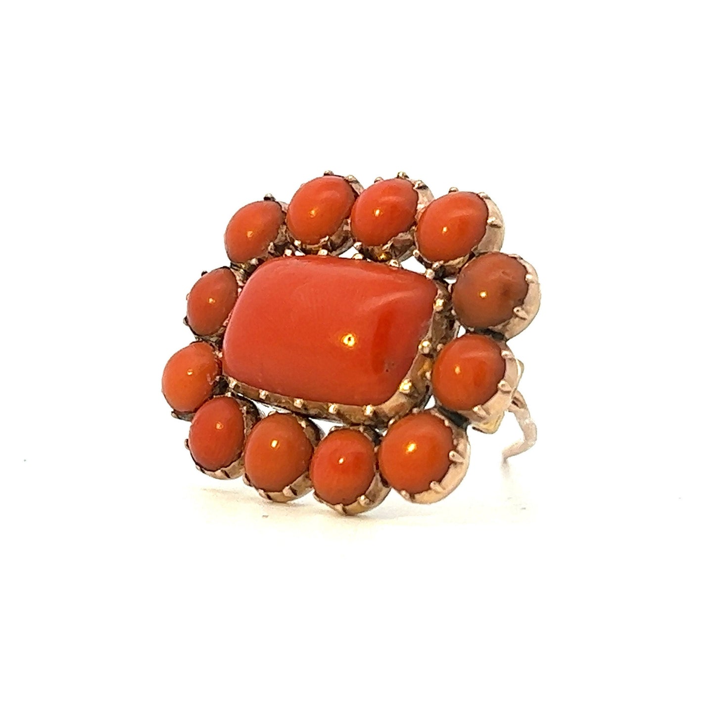 Antique Coral & Gold Brooch. Late Georgian / Early Victorian. English Circa 1820-1830