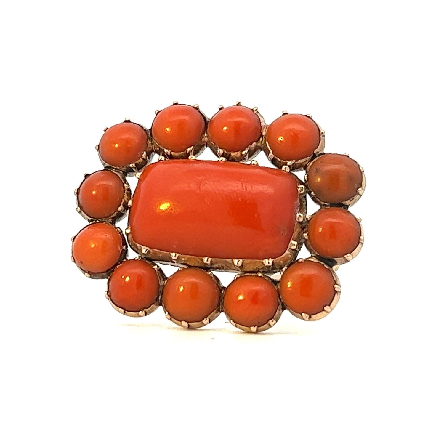 Antique Coral & Gold Brooch. Late Georgian / Early Victorian. English Circa 1820-1830